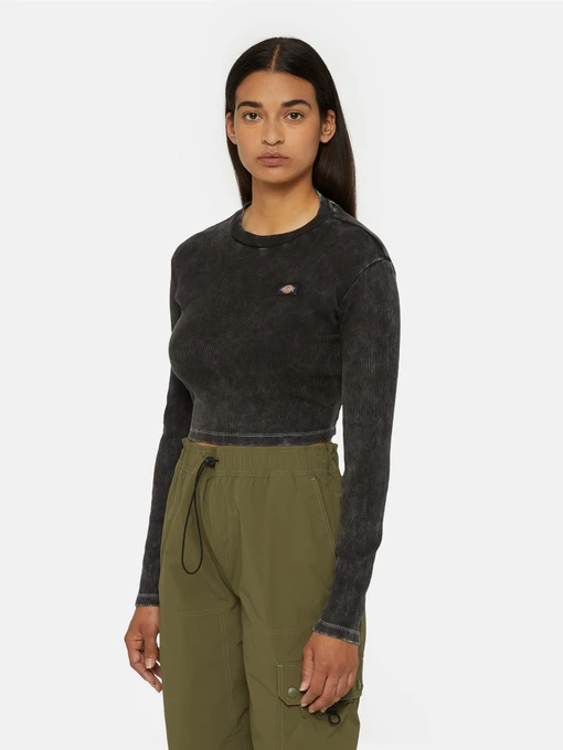 Худі та світшоти Dickies Neington Ls модель DK0A4YYQH861 Фото
