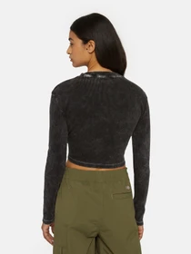 Худи и свитшоты Dickies Neington Ls модель DK0A4YYQH861 Фото