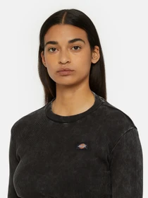 Худи и свитшоты Dickies Neington Ls модель DK0A4YYQH861 Фото