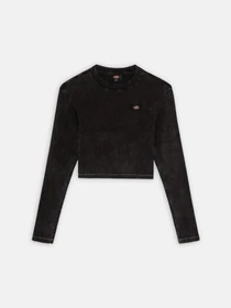 Худи и свитшоты Dickies Neington Ls модель DK0A4YYQH861 Фото