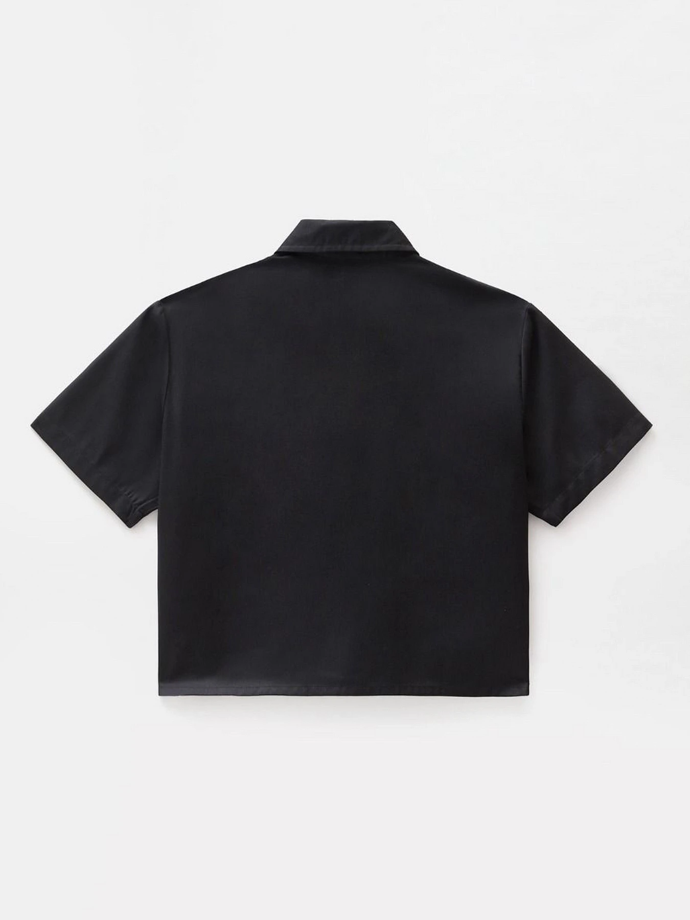 Рубашки Dickies Work модель DK0A4XKDBLK1 Рубашки Dickies Work модель DK0A4XKDBLK1 Фото