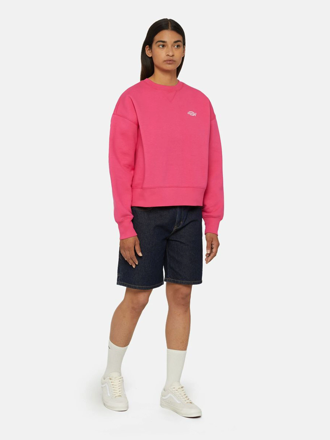 Худи и свитшоты Dickies Summerdale модель DK0A4XYXH191 Фото