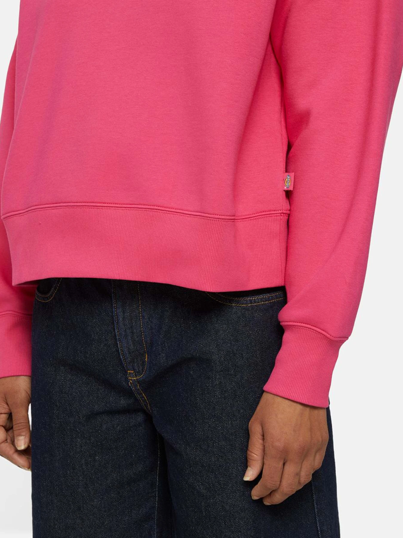 Худи и свитшоты Dickies Summerdale модель DK0A4XYXH191 Фото