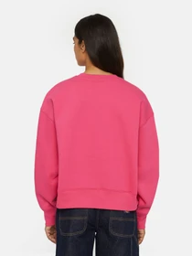 Худи и свитшоты Dickies Summerdale модель DK0A4XYXH191 Фото