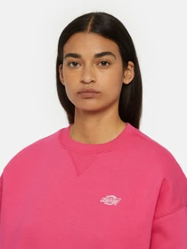 Худи и свитшоты Dickies Summerdale модель DK0A4XYXH191 Фото