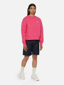 Худи и свитшоты Dickies Summerdale модель DK0A4XYXH191 Фото