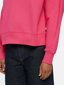 Худи и свитшоты Dickies Summerdale модель DK0A4XYXH191 Фото