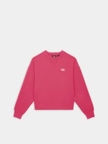 Худи и свитшоты Dickies Summerdale модель DK0A4XYXH191 Фото