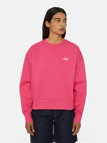 Худи и свитшоты Dickies Summerdale модель DK0A4XYXH191 Фото