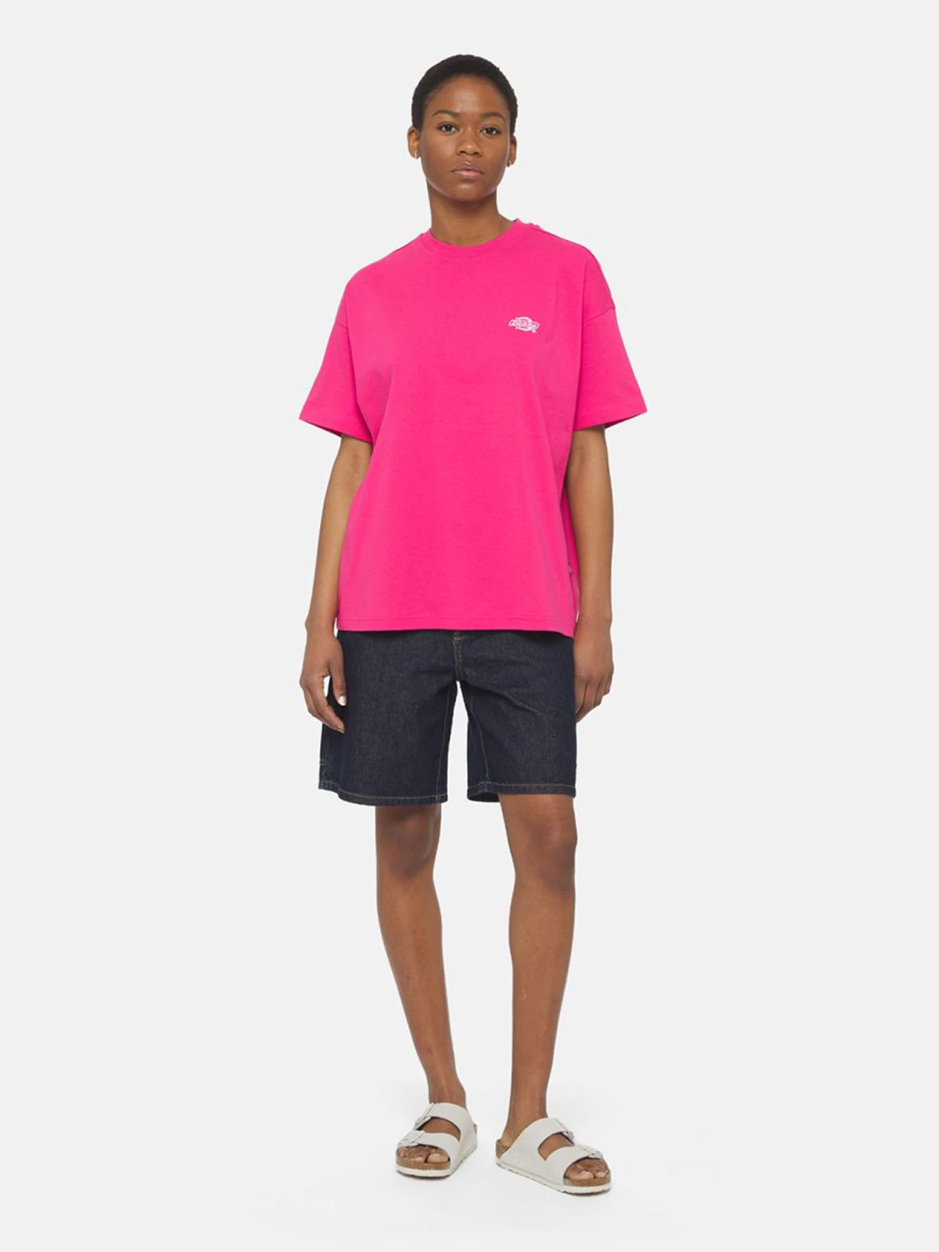 Футболки і поло Dickies Summerdale модель DK0A4Y1BH191 Футболки і поло Dickies Summerdale модель DK0A4Y1BH191 Фото