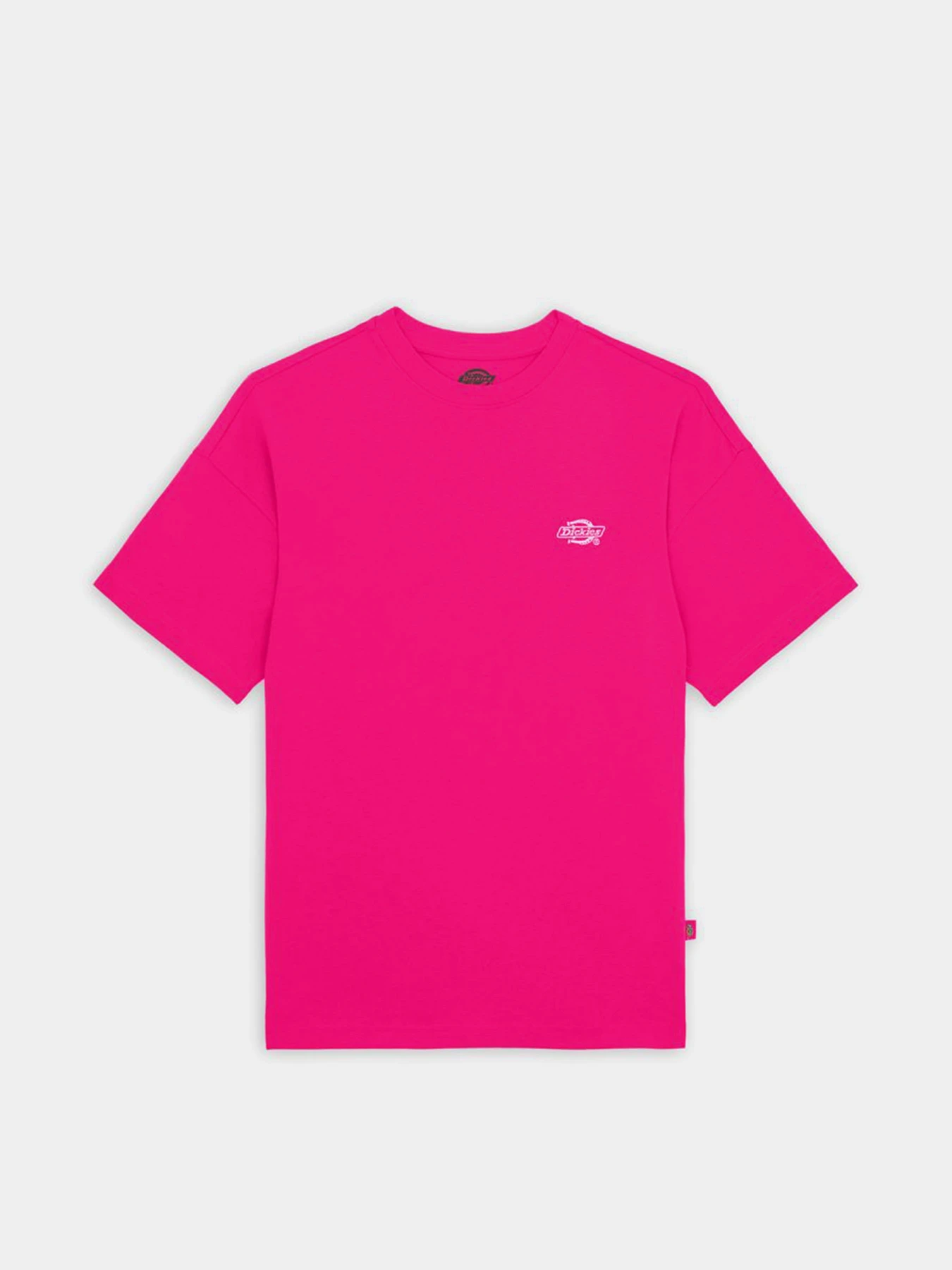 Футболки і поло Dickies Summerdale модель DK0A4Y1BH191 Футболки і поло Dickies Summerdale модель DK0A4Y1BH191 Фото