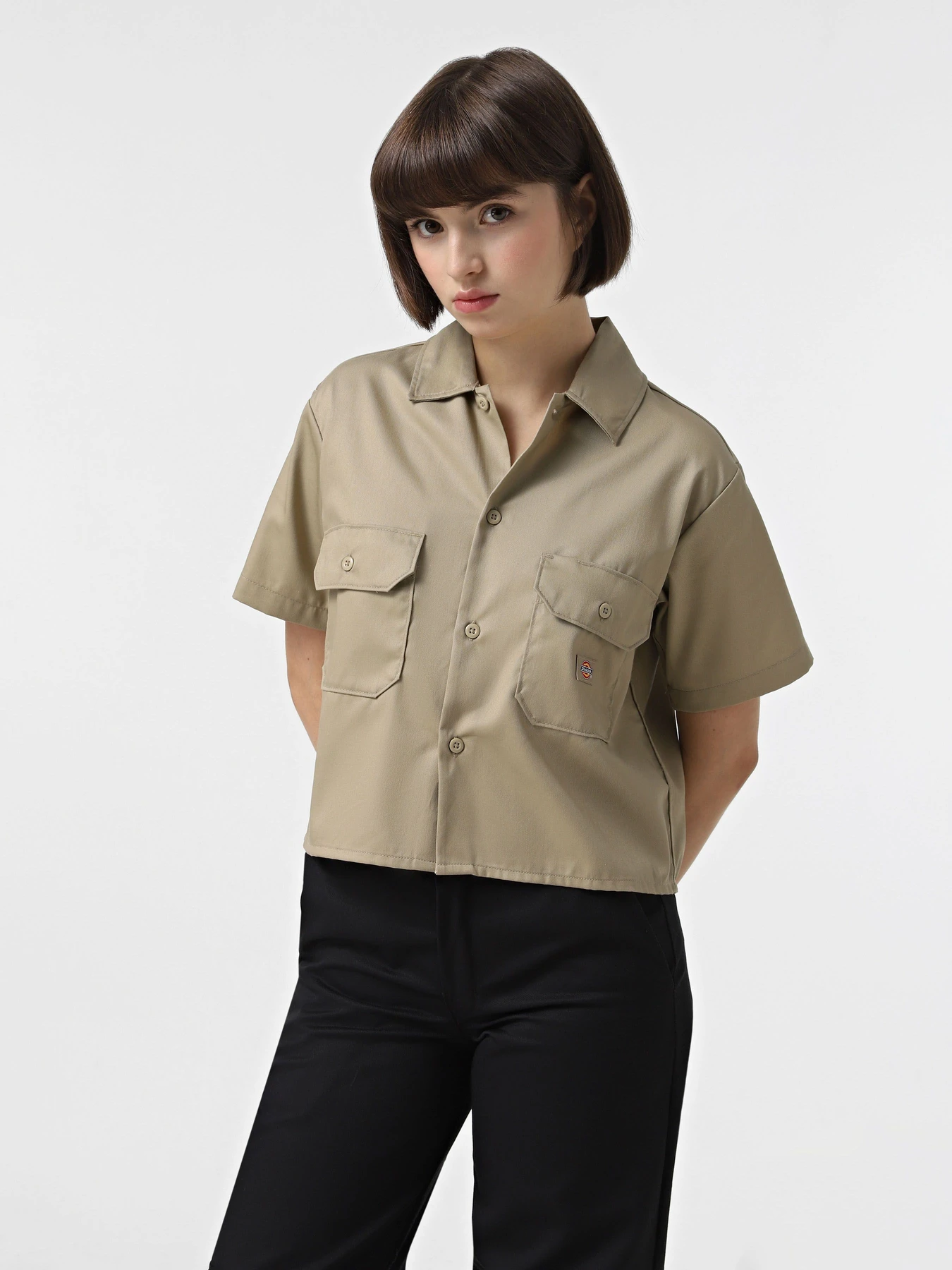 Рубашки Dickies Work модель DK0A4XKDKHK1 Рубашки Dickies Work модель DK0A4XKDKHK1 Фото