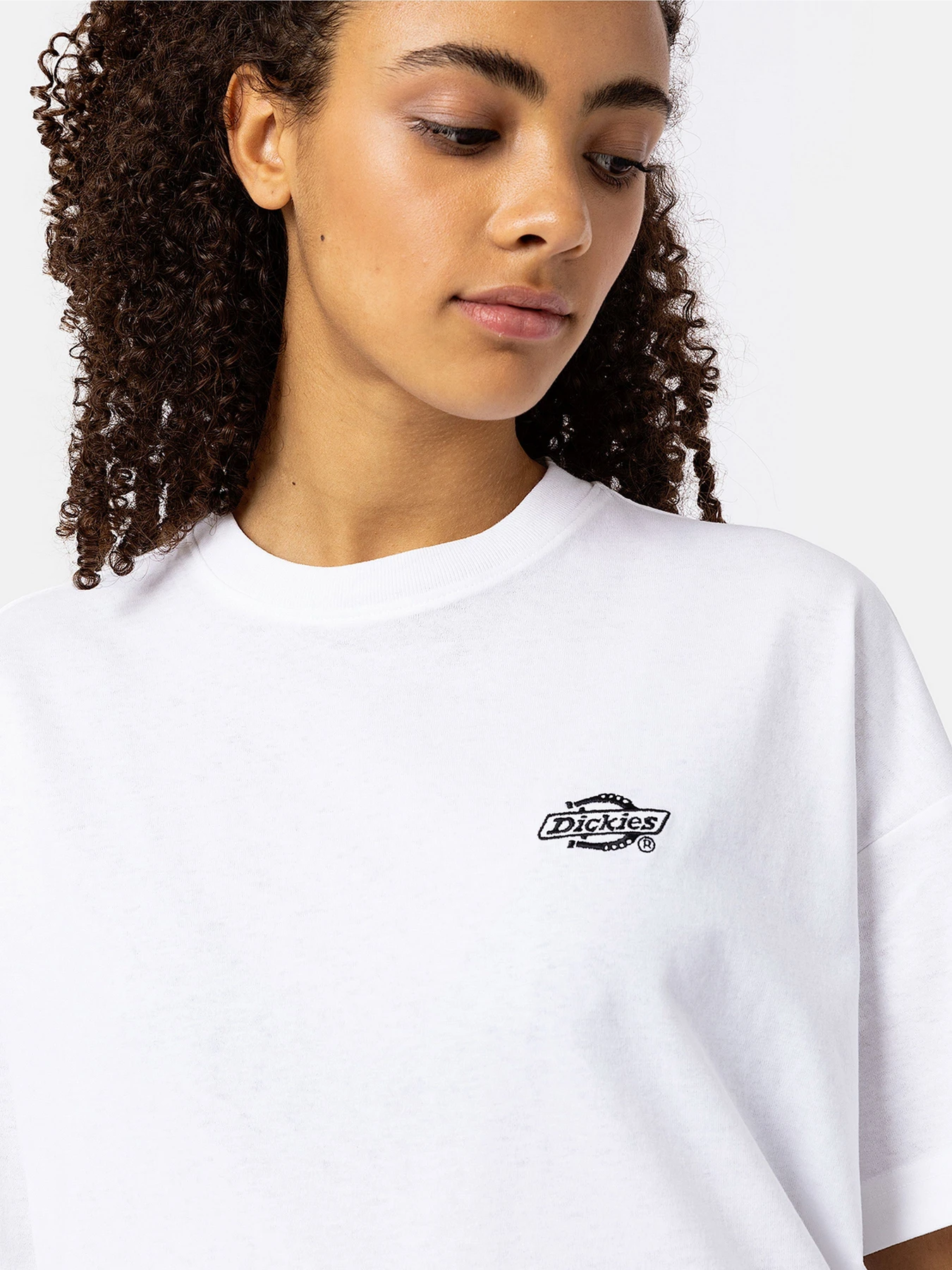 Футболки и поло Dickies Summerdale модель DK0A4Y1BWHX1 Футболки и поло Dickies Summerdale модель DK0A4Y1BWHX1 Фото