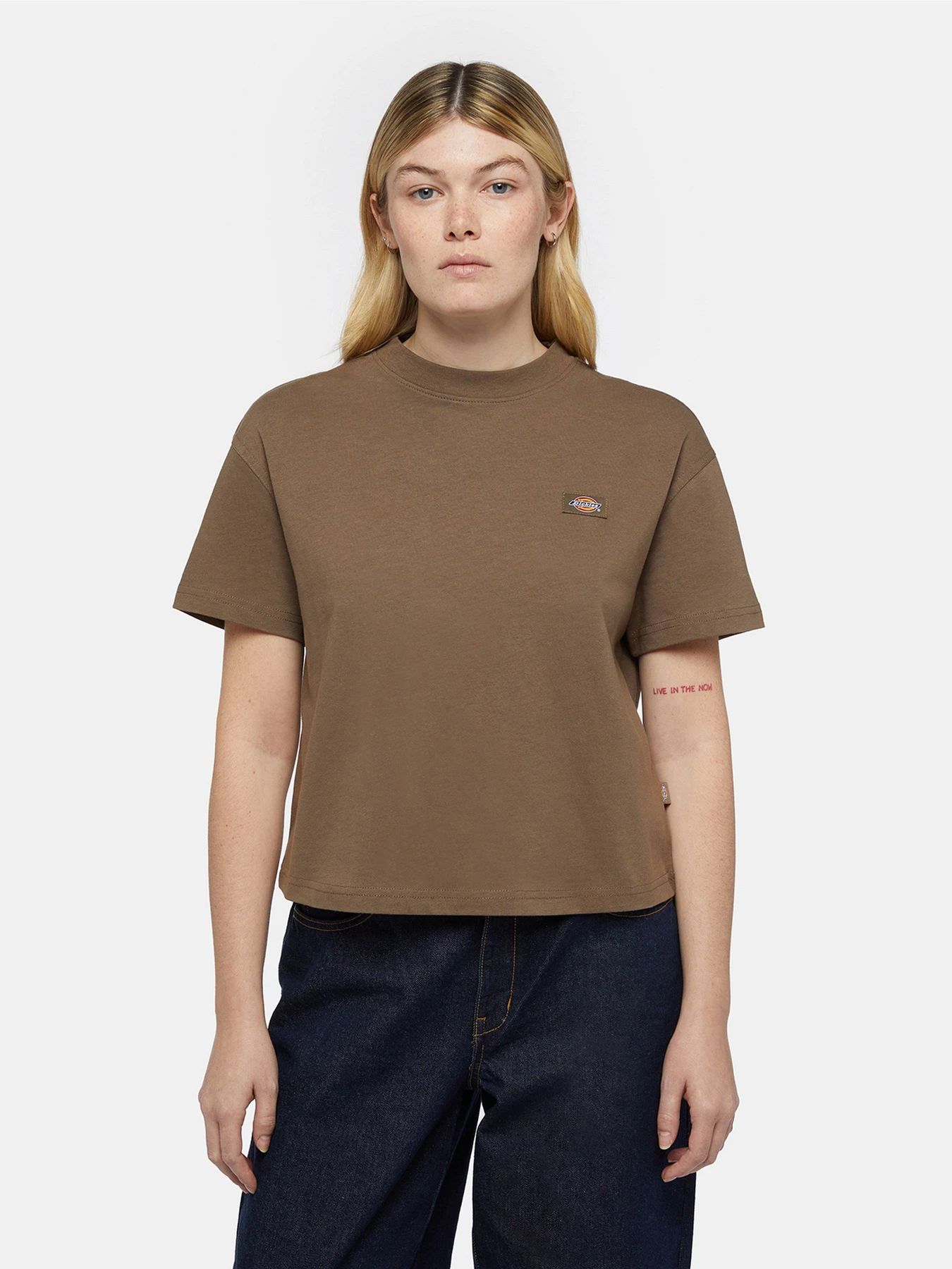 Футболки и поло Dickies Oakport Boxy модель DK0A4Y8LMR11 Фото