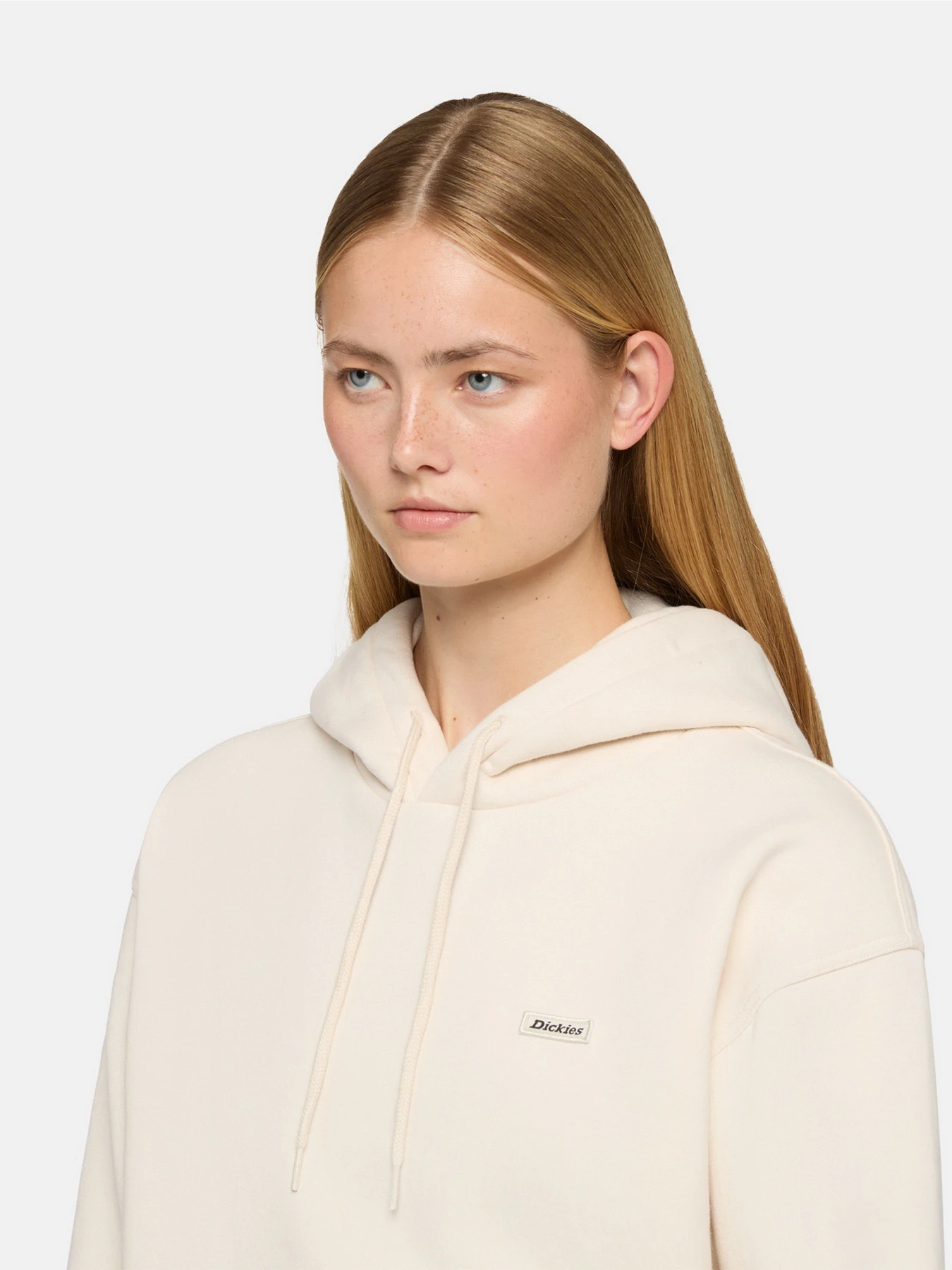 Худи и свитшоты Dickies Clancy модель DK0A4Z2WF901 Худи и свитшоты Dickies Clancy модель DK0A4Z2WF901 Фото