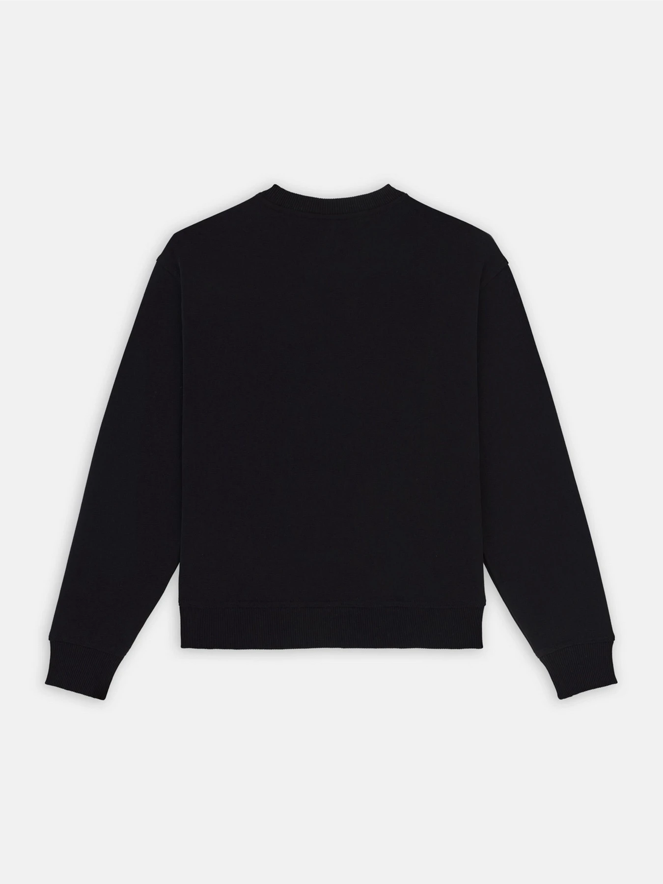 Худи и свитшоты Dickies Clancy модель DK0A4Z2XBLK1 Фото