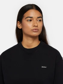 Худи и свитшоты Dickies Clancy модель DK0A4Z2XBLK1 Фото