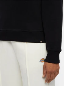 Худи и свитшоты Dickies Clancy модель DK0A4Z2XBLK1 Фото