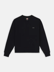 Худи и свитшоты Dickies Clancy модель DK0A4Z2XBLK1 Фото