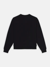 Худи и свитшоты Dickies Clancy модель DK0A4Z2XBLK1 Фото
