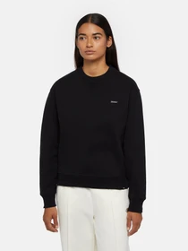 Худи и свитшоты Dickies Clancy модель DK0A4Z2XBLK1 Фото