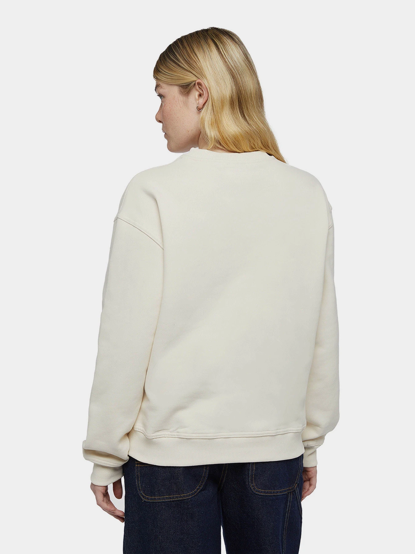Худи и свитшоты Dickies Clancy модель DK0A4Z2XF901 Фото