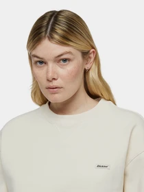 Худи и свитшоты Dickies Clancy модель DK0A4Z2XF901 Фото