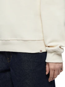 Худи и свитшоты Dickies Clancy модель DK0A4Z2XF901 Фото