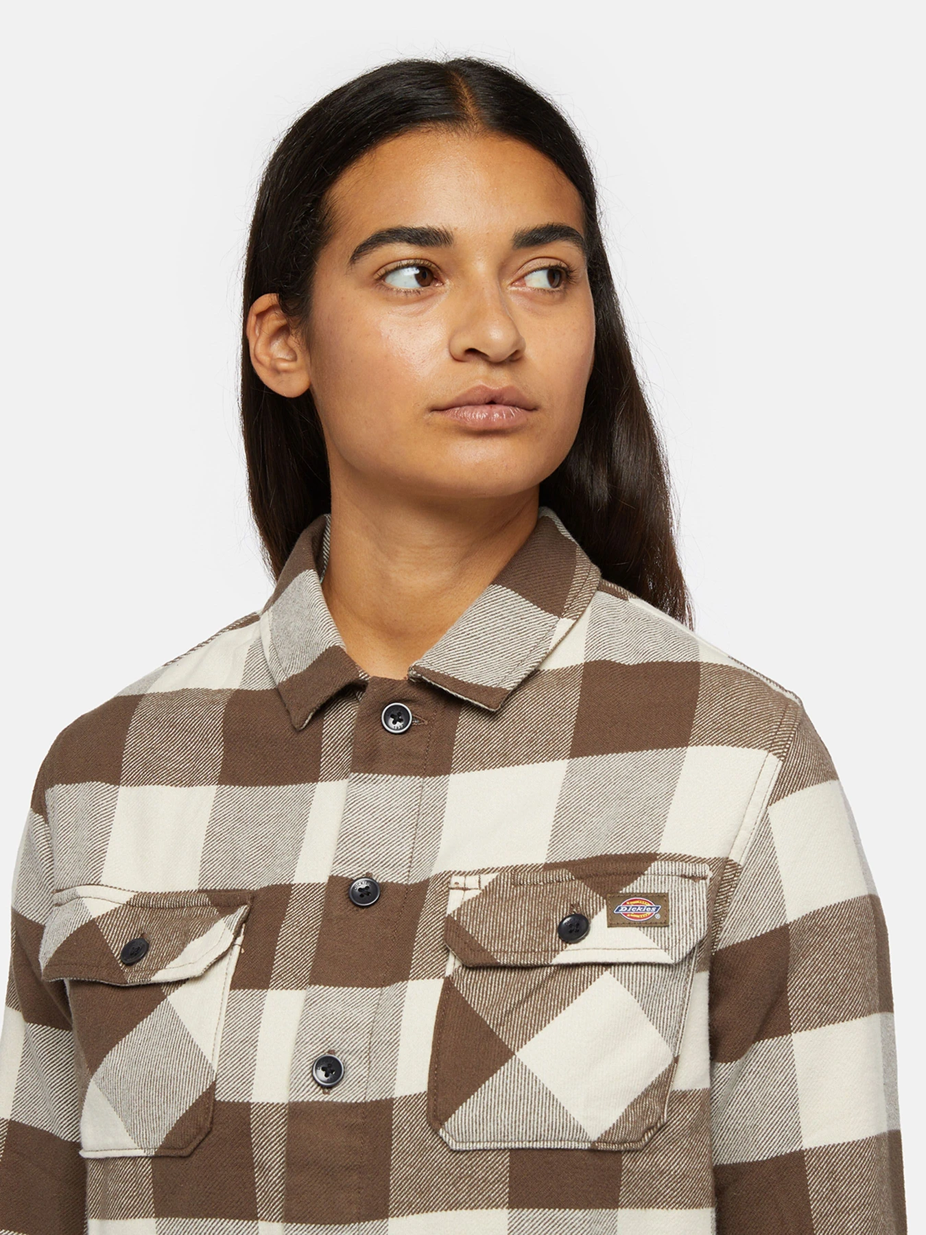Рубашки Dickies Mushroom модель DK0A4XI2MR11 Фото