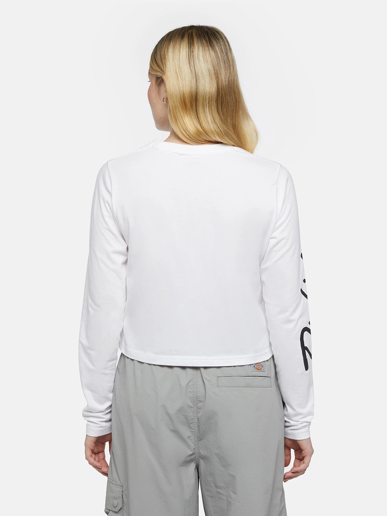 Худи и свитшоты Dickies Globe модель DK0A863O0WH1 Фото