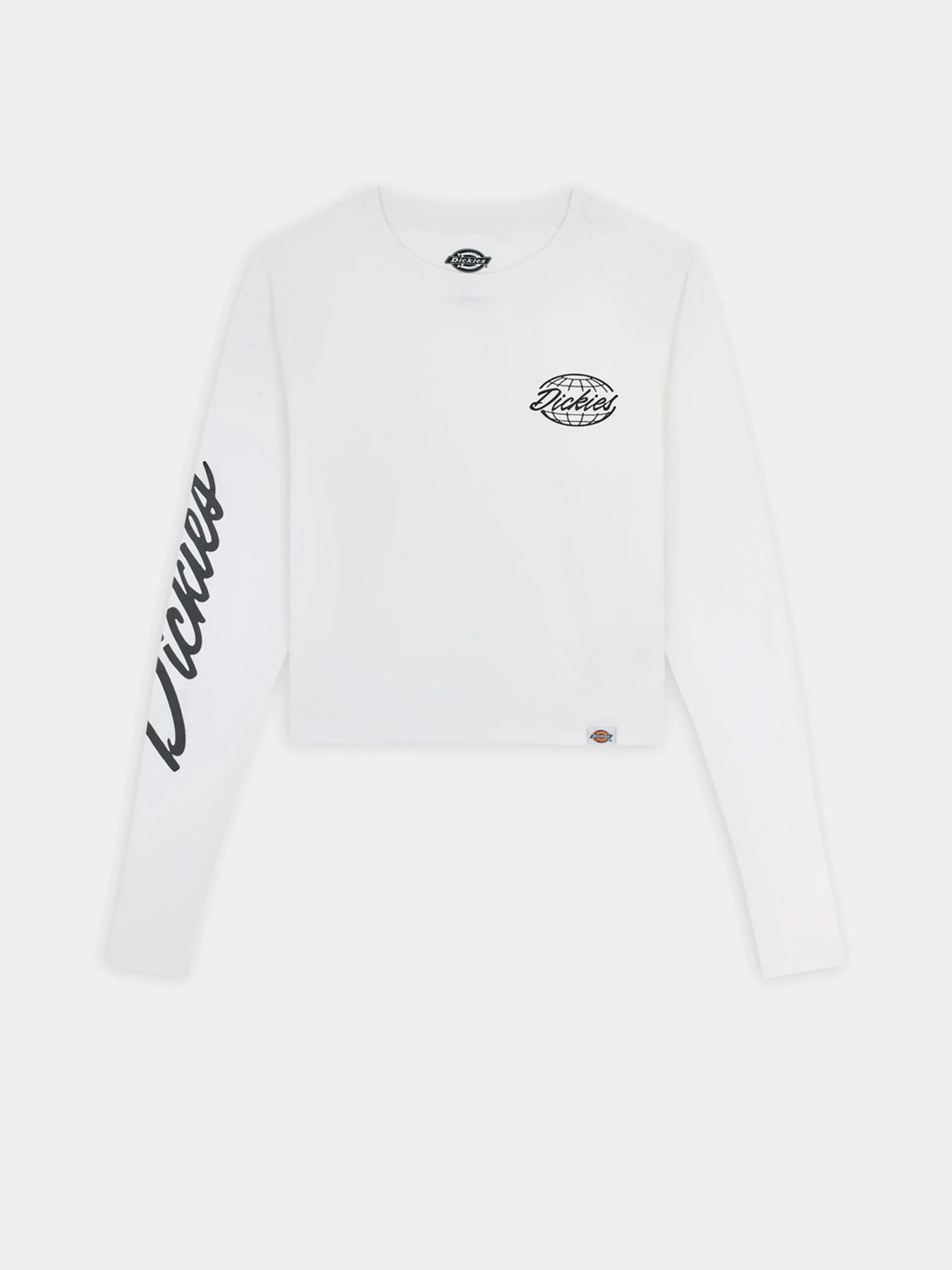 Худи и свитшоты Dickies Globe модель DK0A863O0WH1 Фото