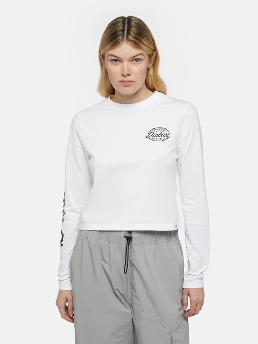 Худі та світшоти Dickies Globe модель DK0A863O0WH1 Фото
