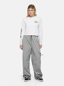 Худи и свитшоты Dickies Globe модель DK0A863O0WH1 Фото