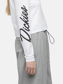 Худи и свитшоты Dickies Globe модель DK0A863O0WH1 Фото