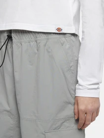Худи и свитшоты Dickies Globe модель DK0A863O0WH1 Фото