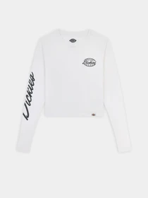 Худи и свитшоты Dickies Globe модель DK0A863O0WH1 Фото