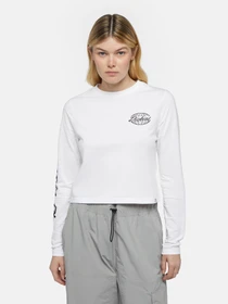 Худи и свитшоты Dickies Globe модель DK0A863O0WH1 Фото