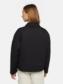 Куртки та дублянки Dickies Plains модель DK0A8643BLK1 Фото