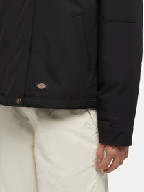 Куртки та дублянки Dickies Plains модель DK0A8643BLK1 Фото
