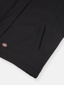 Куртки та дублянки Dickies Plains модель DK0A8643BLK1 Фото