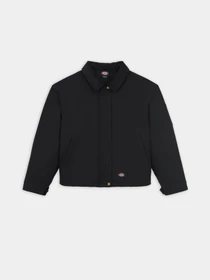 Куртки та дублянки Dickies Plains модель DK0A8643BLK1 Фото
