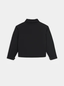 Куртки та дублянки Dickies Plains модель DK0A8643BLK1 Фото