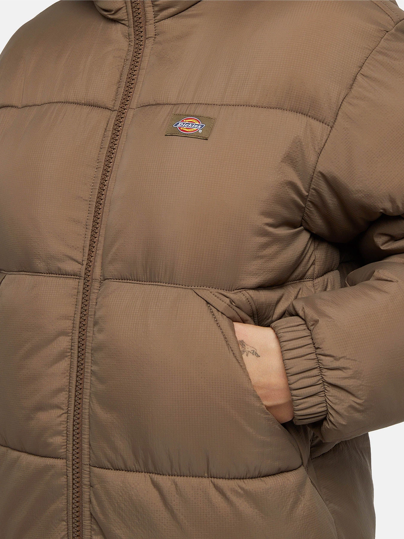 Куртки и дубленки Dickies Alatna модель DK0A4XR9MR11 Куртки и дубленки Dickies Alatna модель DK0A4XR9MR11 Фото