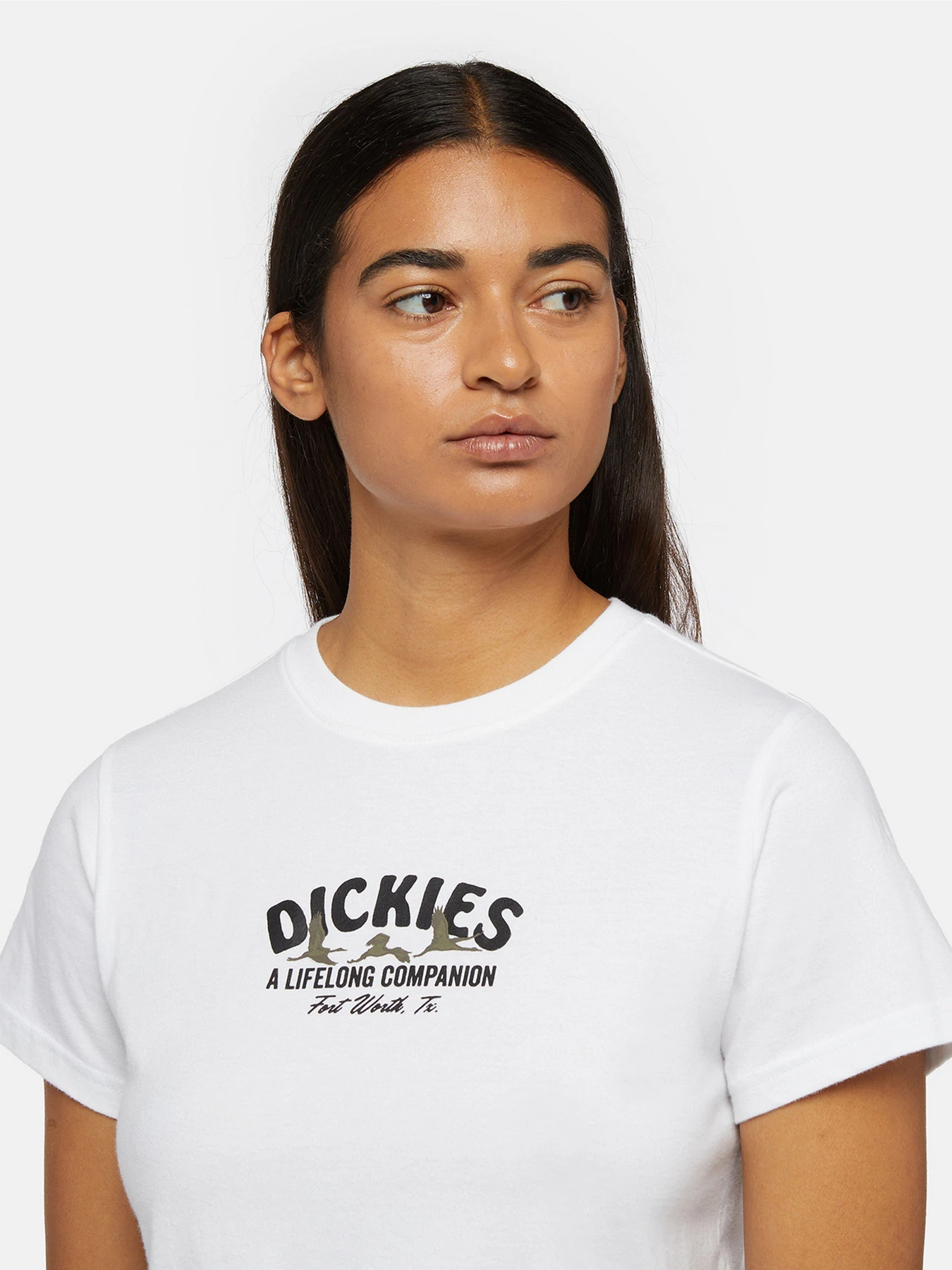 Футболки і поло Dickies Companion модель DK0A863K0WH1 Фото
