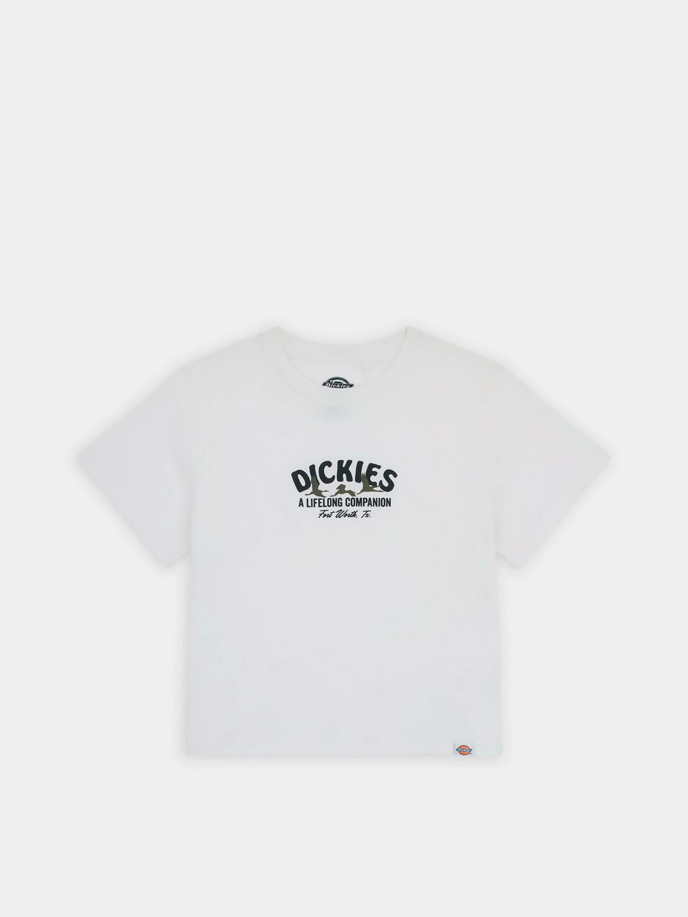Футболки і поло Dickies Companion модель DK0A863K0WH1 Фото