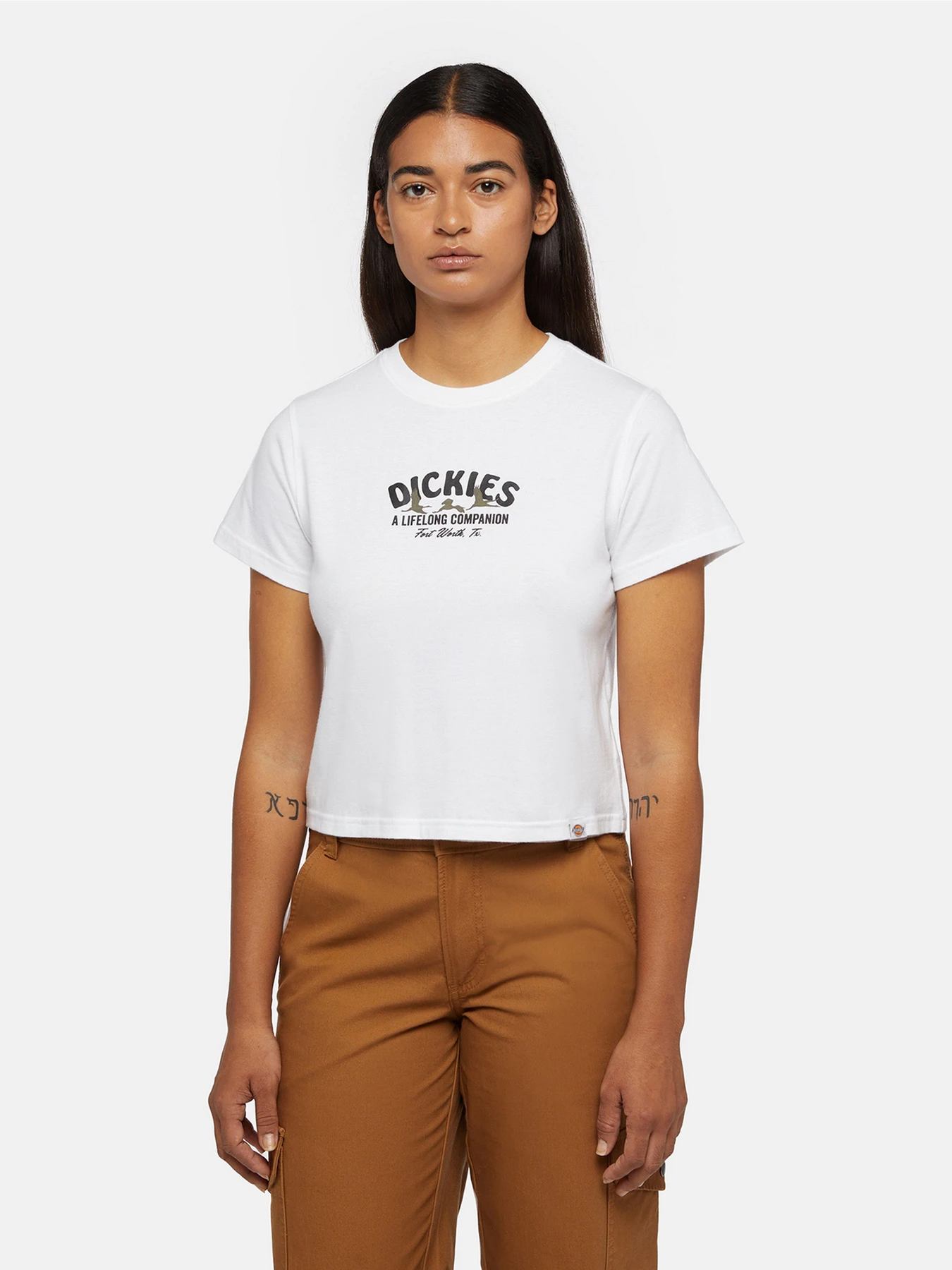 Футболки і поло Dickies Companion модель DK0A863K0WH1 Фото