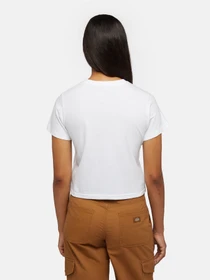 Футболки і поло Dickies Companion модель DK0A863K0WH1 Фото