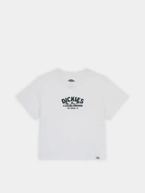 Футболки і поло Dickies Companion модель DK0A863K0WH1 Фото