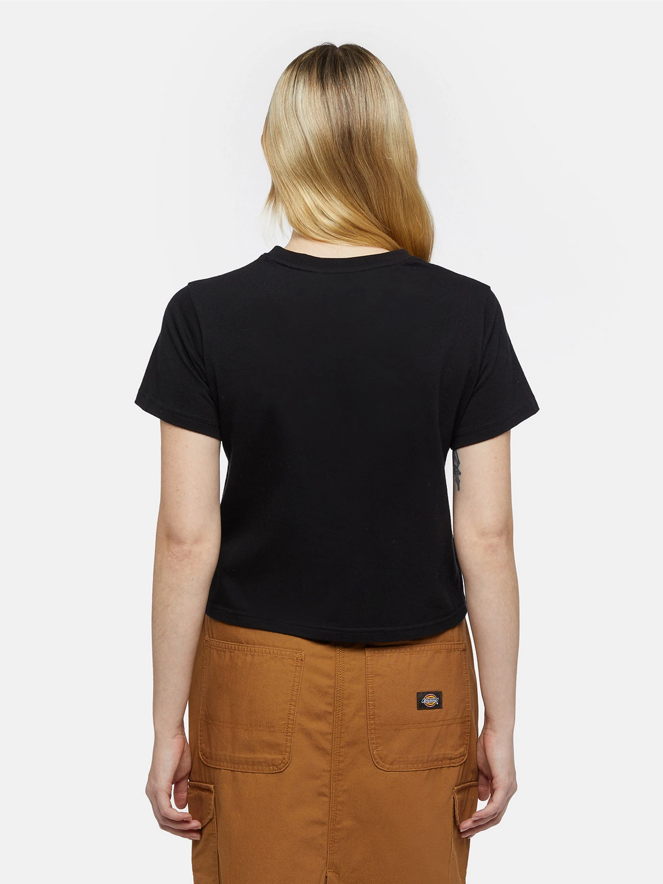 Футболки и поло Dickies Companion модель DK0A863KBLK1 Футболки и поло Dickies Companion модель DK0A863KBLK1 Фото
