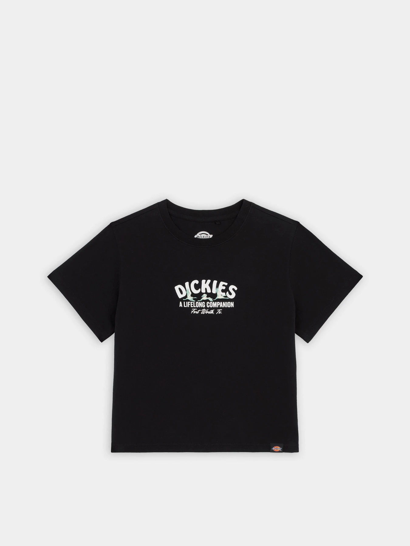 Футболки и поло Dickies Companion модель DK0A863KBLK1 Футболки и поло Dickies Companion модель DK0A863KBLK1 Фото